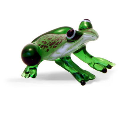 Large Glass Frog