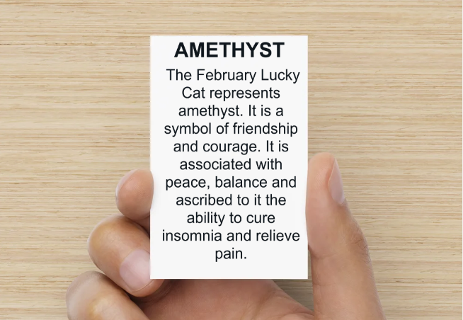The February Lucky Cat - Image 3