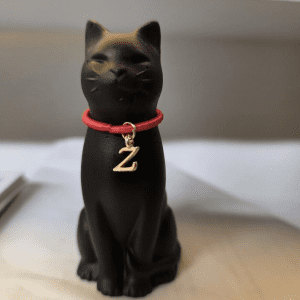 Purrsonalised Black Cat / Kitten